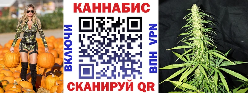 Шишки марихуана планчик  Петрозаводск 